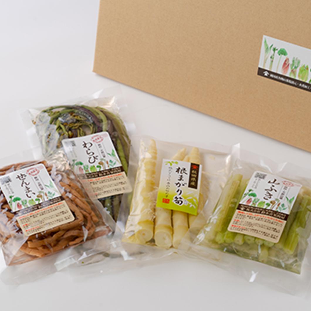 【TS-01】秋田の天然山菜セット