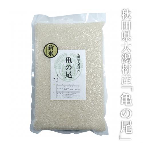 【KM-01】「亀の尾」白米　2kg【令和7年 大潟村産】