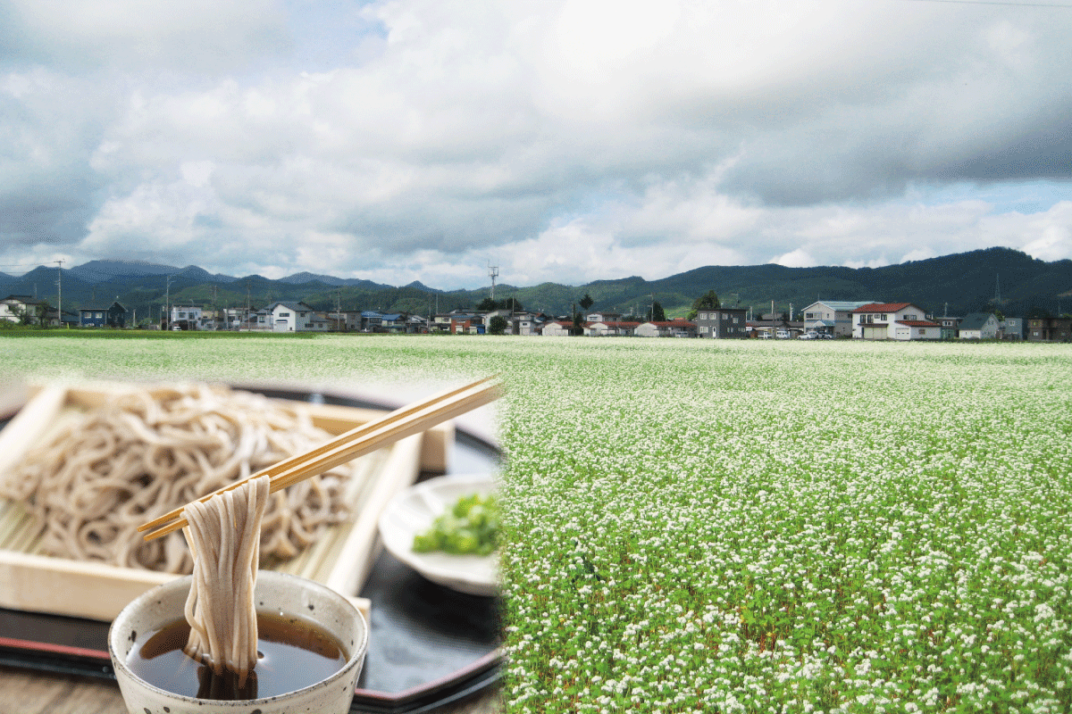 蕎麦イメージ